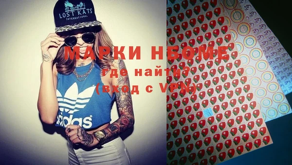 индика Аркадак