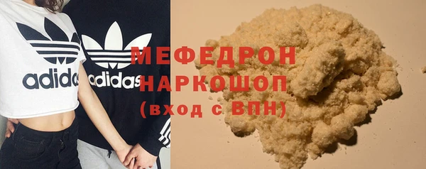 индика Аркадак