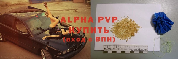 индика Аркадак