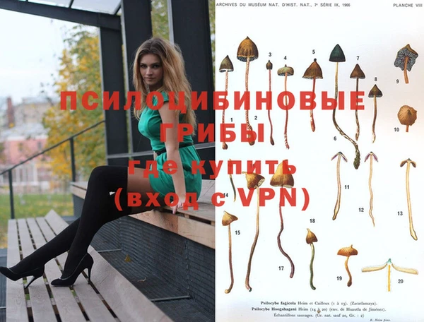 синтетический гашиш Арсеньев