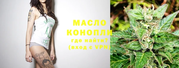 индика Аркадак